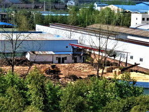 河舒工业园食品企业与木材加工厂共处一个厂之内